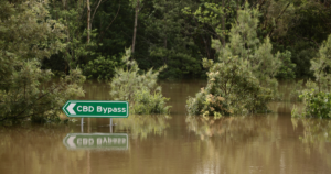 flooded river, Lismore Australia